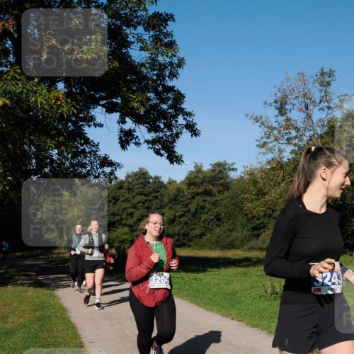 28.09.2025 - 33. Volkslauf durch das schöne Alstertal Fabian Wolf http://msf.ph/oto/8981033 28.09.2025 10:37:51 Laufen 3206, 243 meine-sportfotos.de