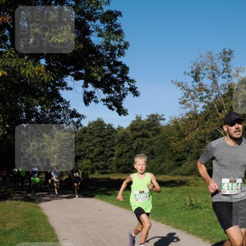 28.09.2025 - 33. Volkslauf durch das schöne Alstertal Fabian Wolf http://msf.ph/oto/8981195 28.09.2025 10:38:39 Laufen 4009, 4164 meine-sportfotos.de