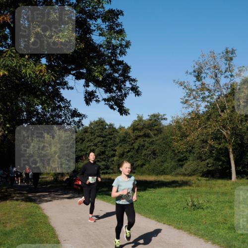 28.09.2025 - 33. Volkslauf durch das schöne Alstertal Fabian Wolf http://msf.ph/oto/8981319 28.09.2025 10:39:04 Laufen  meine-sportfotos.de
