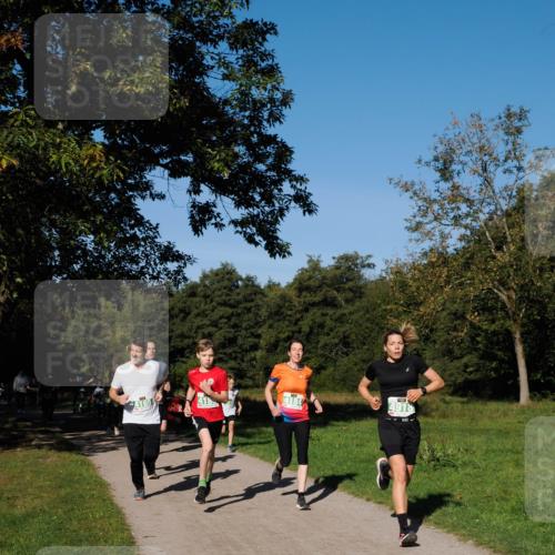 28.09.2025 - 33. Volkslauf durch das schöne Alstertal Fabian Wolf http://msf.ph/oto/8981341 28.09.2025 10:39:10 Laufen 4184, 491 meine-sportfotos.de