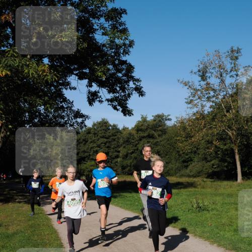 28.09.2025 - 33. Volkslauf durch das schöne Alstertal Fabian Wolf http://msf.ph/oto/8981503 28.09.2025 10:39:35 Laufen 4081, 4095, 403 meine-sportfotos.de