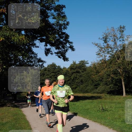 28.09.2025 - 33. Volkslauf durch das schöne Alstertal Fabian Wolf http://msf.ph/oto/8981744 28.09.2025 10:40:18 Laufen 4032, 4088 meine-sportfotos.de