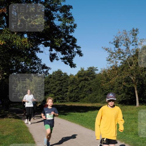 28.09.2025 - 33. Volkslauf durch das schöne Alstertal Fabian Wolf http://msf.ph/oto/8981773 28.09.2025 10:40:21 Laufen 4127 meine-sportfotos.de