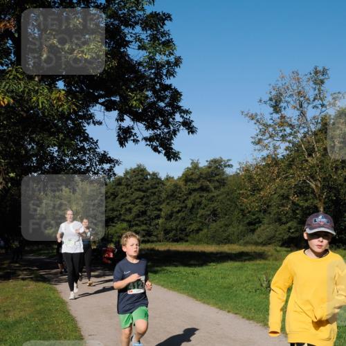 28.09.2025 - 33. Volkslauf durch das schöne Alstertal Fabian Wolf http://msf.ph/oto/8981776 28.09.2025 10:40:21 Laufen 41272 meine-sportfotos.de