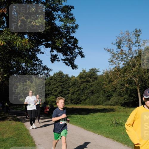 28.09.2025 - 33. Volkslauf durch das schöne Alstertal Fabian Wolf http://msf.ph/oto/8981777 28.09.2025 10:40:22 Laufen  meine-sportfotos.de