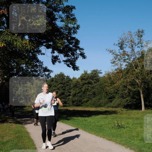 28.09.2025 - 33. Volkslauf durch das schöne Alstertal Fabian Wolf http://msf.ph/oto/8981793 28.09.2025 10:40:23 Laufen 4105 meine-sportfotos.de