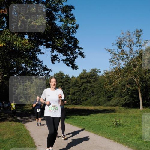 28.09.2025 - 33. Volkslauf durch das schöne Alstertal Fabian Wolf http://msf.ph/oto/8981797 28.09.2025 10:40:24 Laufen 4123, 4105 meine-sportfotos.de