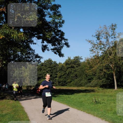 28.09.2025 - 33. Volkslauf durch das schöne Alstertal Fabian Wolf http://msf.ph/oto/8981812 28.09.2025 10:40:26 Laufen 4123 meine-sportfotos.de