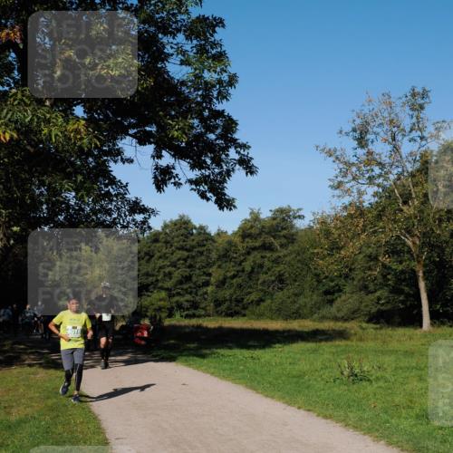 28.09.2025 - 33. Volkslauf durch das schöne Alstertal Fabian Wolf http://msf.ph/oto/8981825 28.09.2025 10:40:28 Laufen 4018 meine-sportfotos.de
