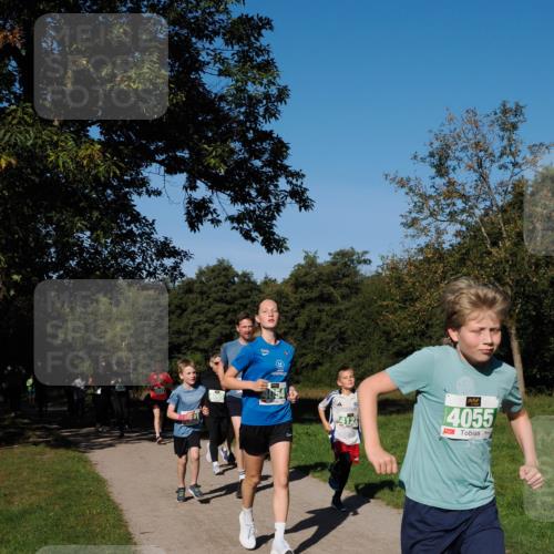 28.09.2025 - 33. Volkslauf durch das schöne Alstertal Fabian Wolf http://msf.ph/oto/8981877 28.09.2025 10:40:40 Laufen 4917, 4065, 4055 meine-sportfotos.de