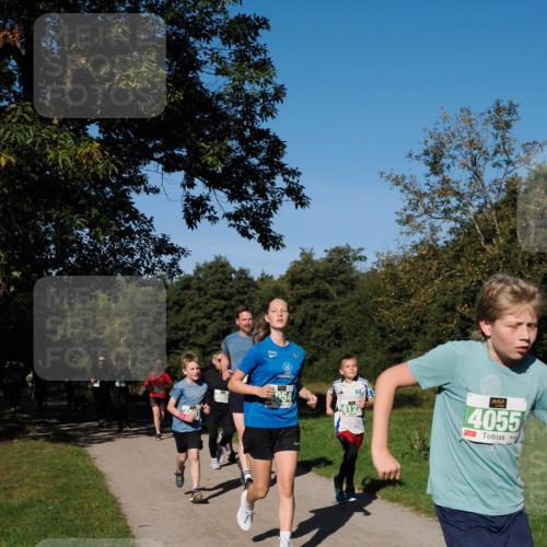 28.09.2025 - 33. Volkslauf durch das schöne Alstertal Fabian Wolf http://msf.ph/oto/8981878 28.09.2025 10:40:40 Laufen 4917, 4091, 4065, 4055 meine-sportfotos.de