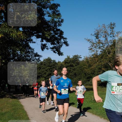 28.09.2025 - 33. Volkslauf durch das schöne Alstertal Fabian Wolf http://msf.ph/oto/8981879 28.09.2025 10:40:40 Laufen 405, 4091, 4054 meine-sportfotos.de