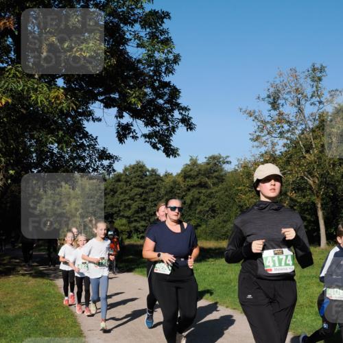 28.09.2025 - 33. Volkslauf durch das schöne Alstertal Fabian Wolf http://msf.ph/oto/8981903 28.09.2025 10:40:46 Laufen 4174, 409 meine-sportfotos.de