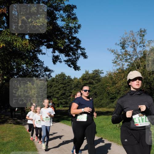 28.09.2025 - 33. Volkslauf durch das schöne Alstertal Fabian Wolf http://msf.ph/oto/8981905 28.09.2025 10:40:46 Laufen 4125, 4098, 4174 meine-sportfotos.de