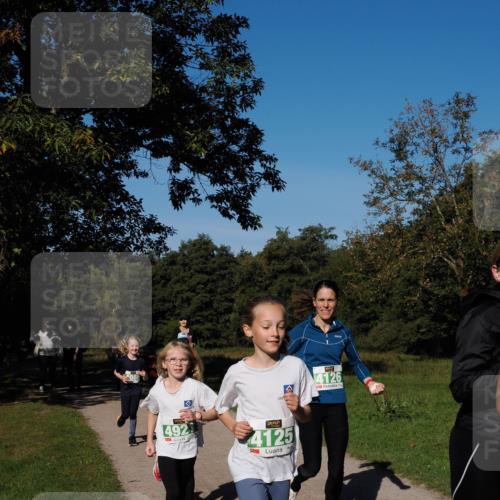 28.09.2025 - 33. Volkslauf durch das schöne Alstertal Fabian Wolf http://msf.ph/oto/8981918 28.09.2025 10:40:47 Laufen 4086, 4126, 492, 4125 meine-sportfotos.de