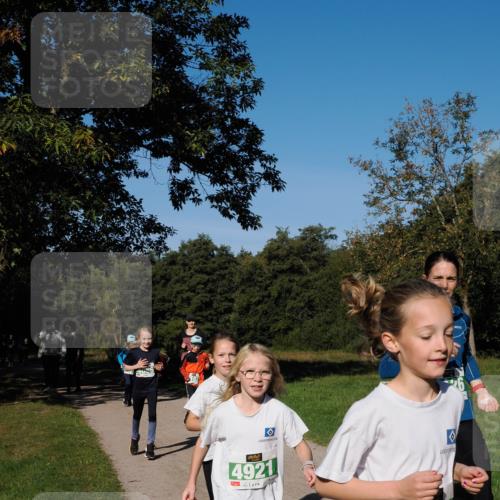 28.09.2025 - 33. Volkslauf durch das schöne Alstertal Fabian Wolf http://msf.ph/oto/8981923 28.09.2025 10:40:48 Laufen 4921, 4125 meine-sportfotos.de