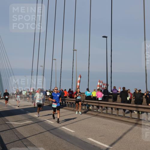 03.10.2025 - Köhlbrandbrückenlauf Julia Fischer http://msf.ph/oto/9000379 03.10.2025 09:34:49 Position 2  meine-sportfotos.de