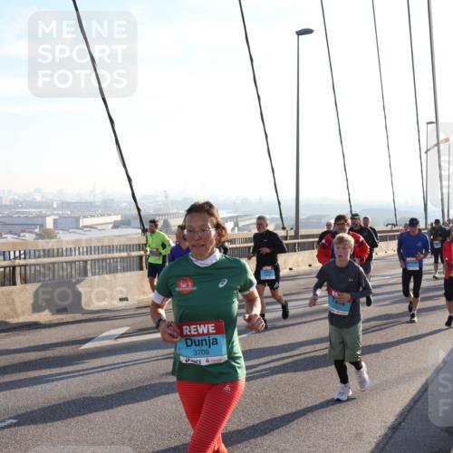 03.10.2025 - Köhlbrandbrückenlauf Julia Fischer http://msf.ph/oto/9001788 03.10.2025 09:25:31 Position 1 3709 meine-sportfotos.de