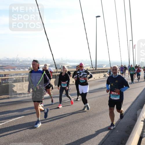 03.10.2025 - Köhlbrandbrückenlauf Julia Fischer http://msf.ph/oto/9002381 03.10.2025 09:26:58 Position 1  meine-sportfotos.de