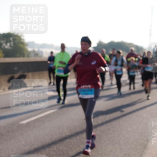 03.10.2025 - Köhlbrandbrückenlauf Fabian Wolf http://msf.ph/oto/9005675 03.10.2025 09:19:22 Position 3  meine-sportfotos.de