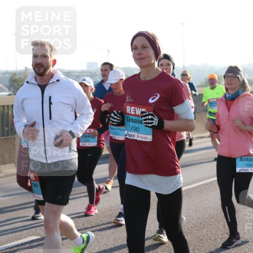03.10.2025 - Köhlbrandbrückenlauf Lena Gebhardt http://msf.ph/oto/9046319 03.10.2025 09:28:13 Position 1 2726, 202, 2727, 1546 meine-sportfotos.de