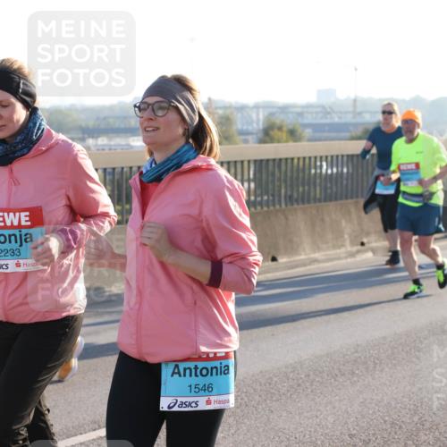 03.10.2025 - Köhlbrandbrückenlauf Lena Gebhardt http://msf.ph/oto/9046365 03.10.2025 09:28:14 Position 1 272, 2727, 2233, 1546 meine-sportfotos.de
