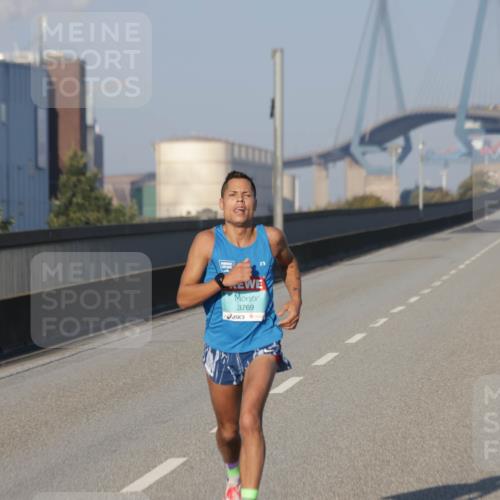 03.10.2025 - Köhlbrandbrückenlauf Jannik Wohlers http://msf.ph/oto/9049126 03.10.2025 09:32:52 Position 3 3769 meine-sportfotos.de
