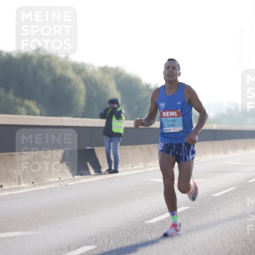 03.10.2025 - Köhlbrandbrückenlauf Jannik Wohlers http://msf.ph/oto/9052846 03.10.2025 09:09:44 Position 3 3769 meine-sportfotos.de