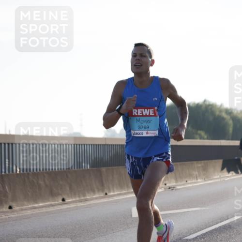 03.10.2025 - Köhlbrandbrückenlauf Jannik Wohlers http://msf.ph/oto/9052938 03.10.2025 09:09:45 Position 3 3769 meine-sportfotos.de