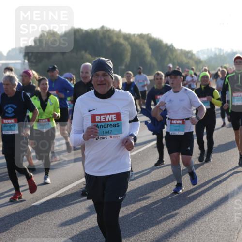 03.10.2025 - Köhlbrandbrückenlauf Jannik Wohlers http://msf.ph/oto/9053817 03.10.2025 09:20:03 Position 3 1947, 3815 meine-sportfotos.de