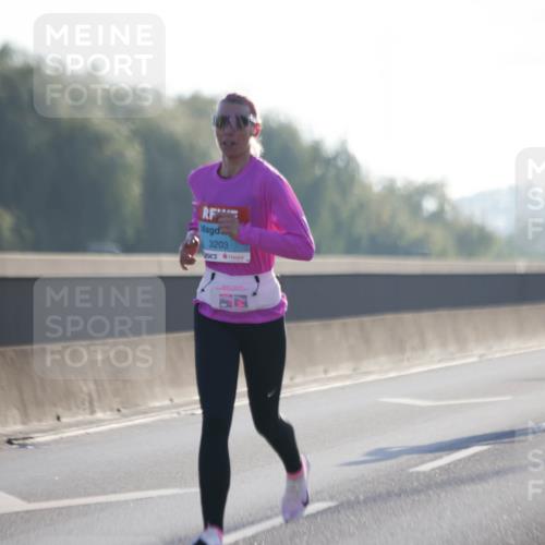 03.10.2025 - Köhlbrandbrückenlauf Jannik Wohlers http://msf.ph/oto/9054018 03.10.2025 09:11:37 Position 3 3203 meine-sportfotos.de