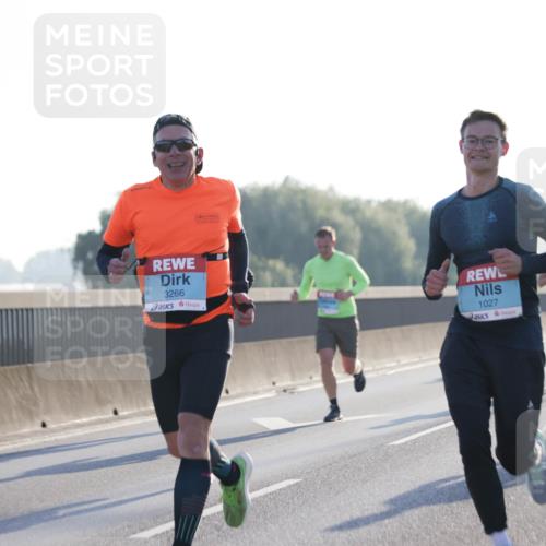03.10.2025 - Köhlbrandbrückenlauf Jannik Wohlers http://msf.ph/oto/9056386 03.10.2025 09:13:11 Position 3 3266, 1027 meine-sportfotos.de