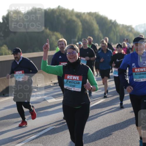 03.10.2025 - Köhlbrandbrückenlauf Jannik Wohlers http://msf.ph/oto/9056451 03.10.2025 09:20:57 Position 3 3582, 3509 meine-sportfotos.de