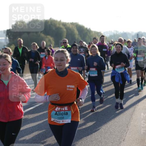 03.10.2025 - Köhlbrandbrückenlauf Jannik Wohlers http://msf.ph/oto/9056643 03.10.2025 09:21:01 Position 3 1858, 1147 meine-sportfotos.de