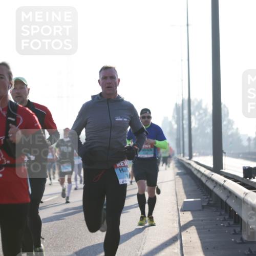 03.10.2025 - Köhlbrandbrückenlauf Jannik Wohlers http://msf.ph/oto/9059487 03.10.2025 09:14:23 Position 3 37 meine-sportfotos.de