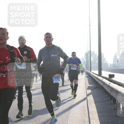 03.10.2025 - Köhlbrandbrückenlauf Jannik Wohlers http://msf.ph/oto/9059530 03.10.2025 09:14:24 Position 3 3403, 335, 5 meine-sportfotos.de