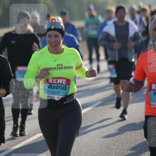 03.10.2025 - Köhlbrandbrückenlauf Jannik Wohlers http://msf.ph/oto/9060099 03.10.2025 09:22:30 Position 3 2072, 2907, 009, 3576 meine-sportfotos.de