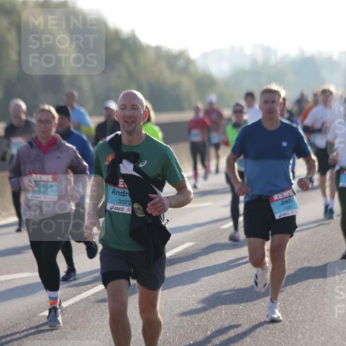 03.10.2025 - Köhlbrandbrückenlauf Jannik Wohlers http://msf.ph/oto/9063069 03.10.2025 09:16:03 Position 3 3073, 1367 meine-sportfotos.de