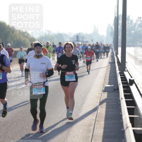 03.10.2025 - Köhlbrandbrückenlauf Jannik Wohlers http://msf.ph/oto/9063207 03.10.2025 09:16:07 Position 3 1415, 3344, 1412 meine-sportfotos.de