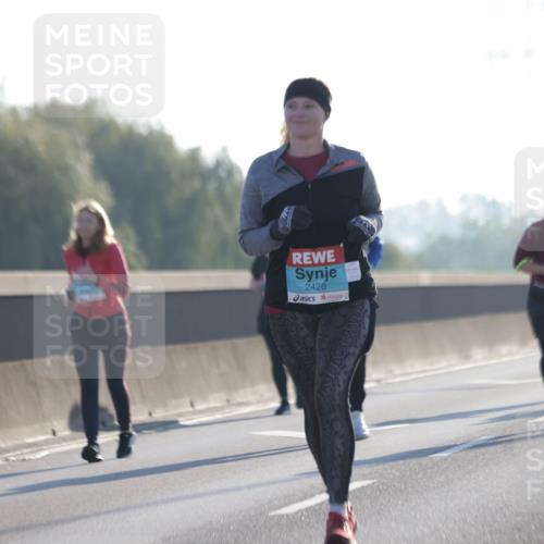 03.10.2025 - Köhlbrandbrückenlauf Jannik Wohlers http://msf.ph/oto/9066646 03.10.2025 09:27:47 Position 3 2426 meine-sportfotos.de