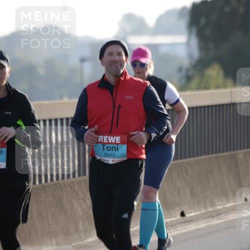 03.10.2025 - Köhlbrandbrückenlauf Jannik Wohlers http://msf.ph/oto/9067075 03.10.2025 09:29:00 Position 3 2607, 2643 meine-sportfotos.de