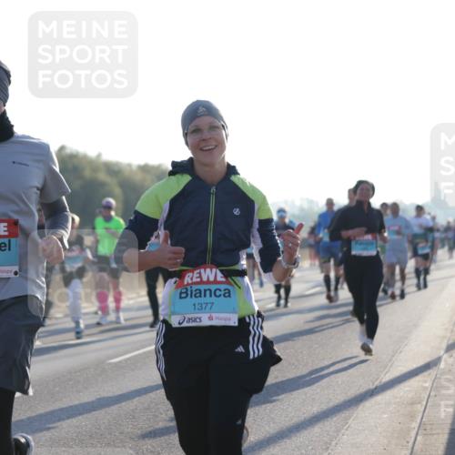 03.10.2025 - Köhlbrandbrückenlauf Jannik Wohlers http://msf.ph/oto/9069011 03.10.2025 09:16:47 Position 3 1378, 1377 meine-sportfotos.de