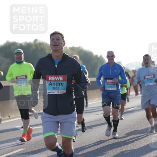 03.10.2025 - Köhlbrandbrückenlauf Jannik Wohlers http://msf.ph/oto/9069164 03.10.2025 09:16:52 Position 3 3656, 1302, 1776 meine-sportfotos.de