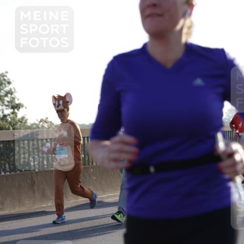 03.10.2025 - Köhlbrandbrückenlauf Jannik Wohlers http://msf.ph/oto/9069552 03.10.2025 09:17:05 Position 3  meine-sportfotos.de