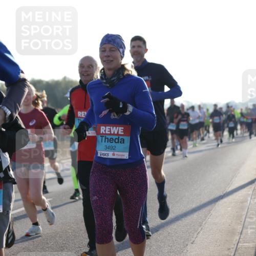 03.10.2025 - Köhlbrandbrückenlauf Jannik Wohlers http://msf.ph/oto/9070088 03.10.2025 09:17:22 Position 3 261, 3492 meine-sportfotos.de