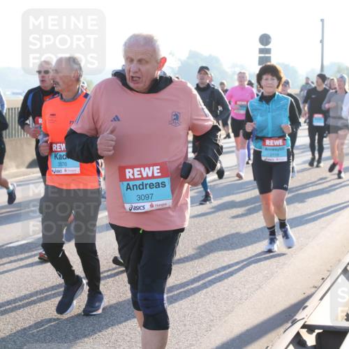 03.10.2025 - Köhlbrandbrückenlauf Lena Gebhardt http://msf.ph/oto/9072030 03.10.2025 09:24:45 Position 1 2435, 3576, 3097, 2119 meine-sportfotos.de