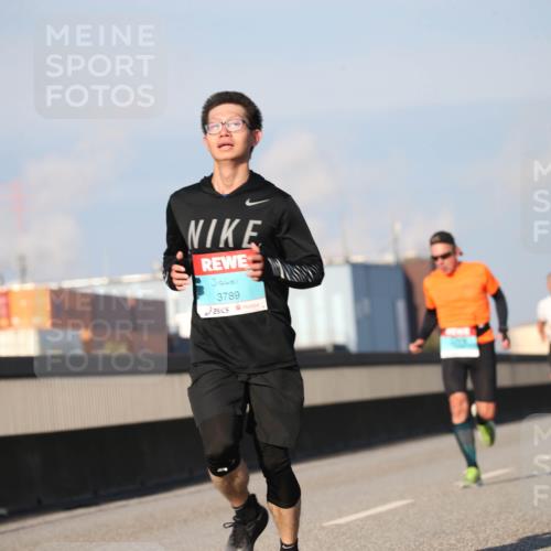03.10.2025 - Köhlbrandbrückenlauf Jannik Wohlers http://msf.ph/oto/9076298 03.10.2025 09:42:50 Position 3 3789 meine-sportfotos.de