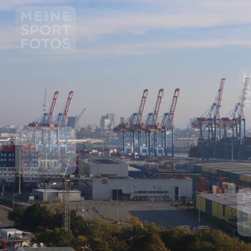 03.10.2025 - Köhlbrandbrückenlauf Strokosch-Dieckow http://msf.ph/oto/9099701 03.10.2025 09:10:24 Position 1  meine-sportfotos.de