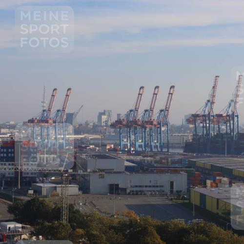 03.10.2025 - Köhlbrandbrückenlauf Strokosch-Dieckow http://msf.ph/oto/9099705 03.10.2025 09:10:25 Position 1  meine-sportfotos.de