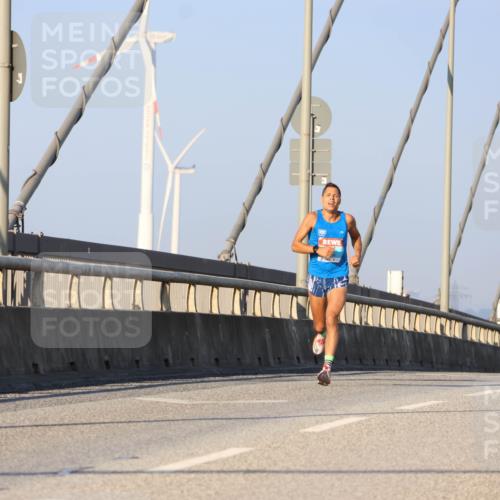 03.10.2025 - Köhlbrandbrückenlauf Strokosch-Dieckow http://msf.ph/oto/9104004 03.10.2025 09:27:27 Position 2  meine-sportfotos.de